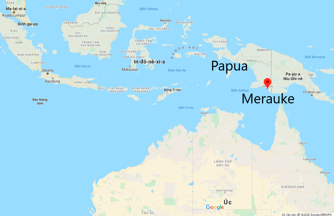 Vị trí trầm hương Merauke Papua Indonesia