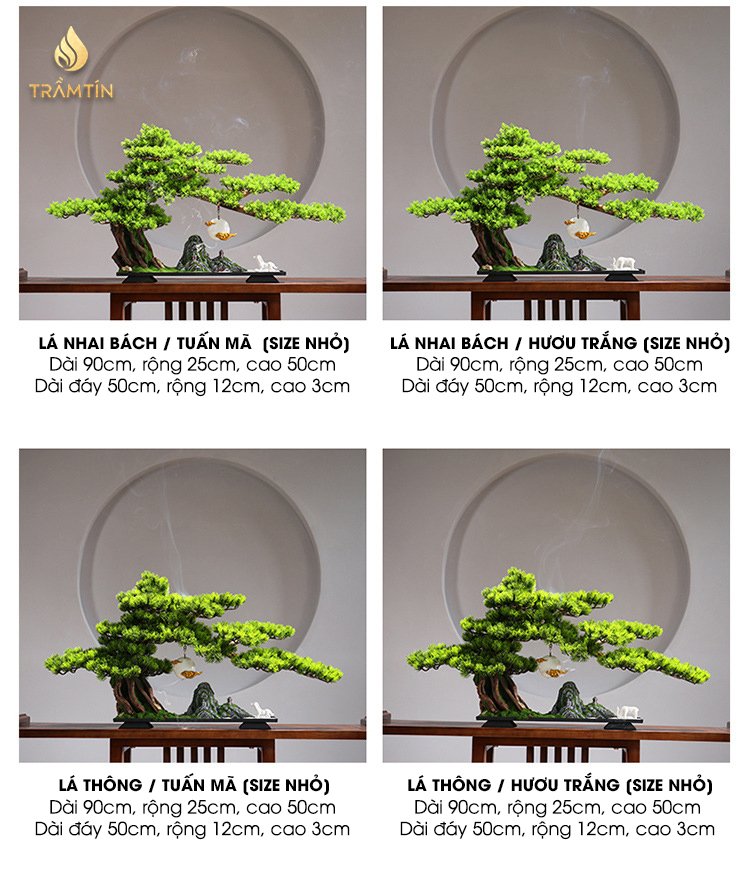 kích thước thác khói bonsai tiểu cảnh cao cấp