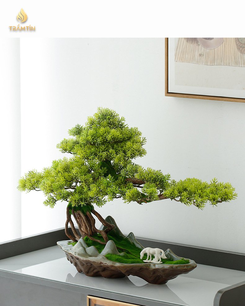 tiểu cảnh bonsai đẹp mắt