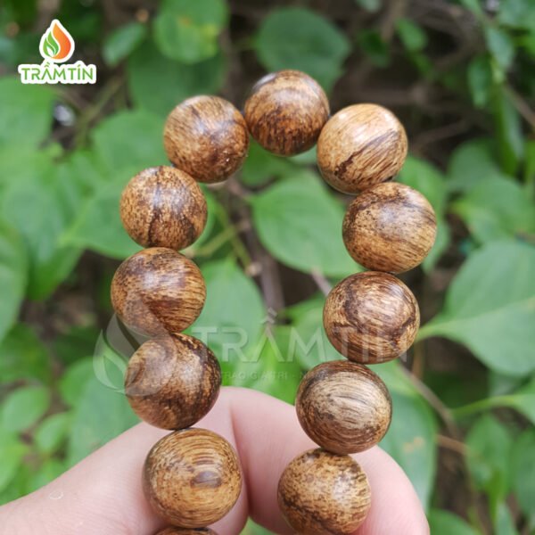 Trầm hương kiến rừng Malaysia với tông vàng sang trọng cùng vân dầu bắt mắt