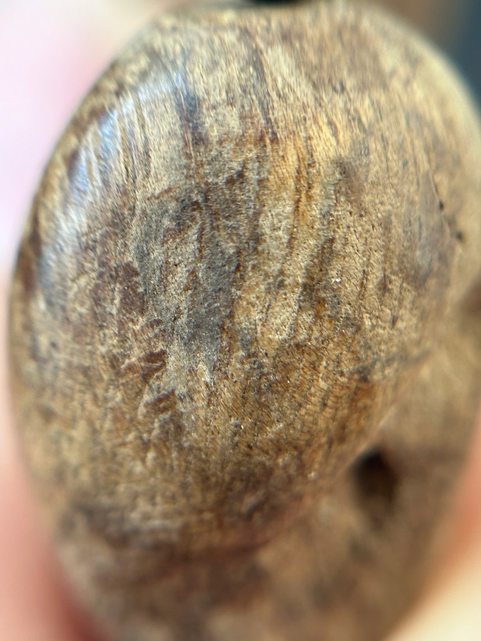 Vong_tram_huong_mat_tu_ruc_chim_Isabel_Phillip_15,16g_11 Vòng trầm hương rục, mắt tử chìm nước Phillipines