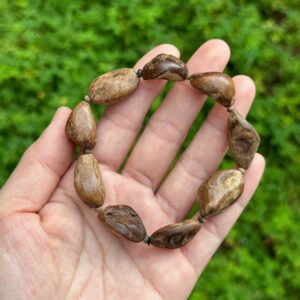 Vòng trầm hương mắt tử rục chìm Phillip