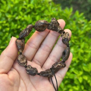 Vòng trầm hương rừng mắt tử chìm nước, sớ dầu ăn bông Tarakan
