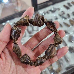Vòng trầm hương rừng mắt tử chìm nước, sớ dầu ăn bông Tarakan