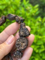 Vòng trầm hương rừng mắt tử chìm nước, sớ dầu ăn bông Tarakan